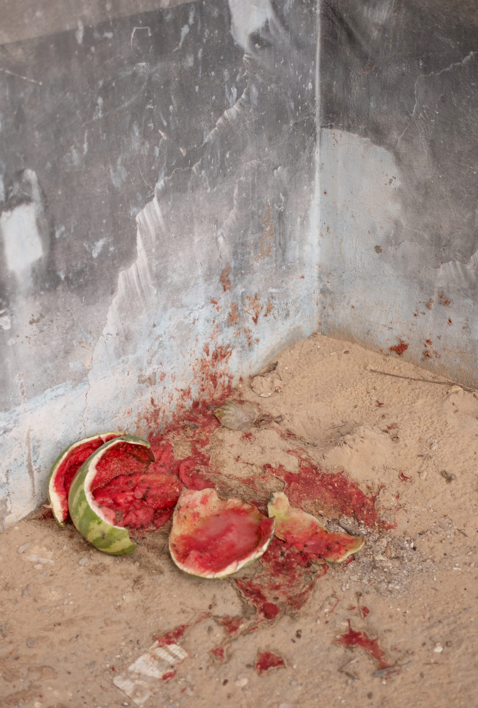Everyone Knows Everyone (Found Watermelon), 2024