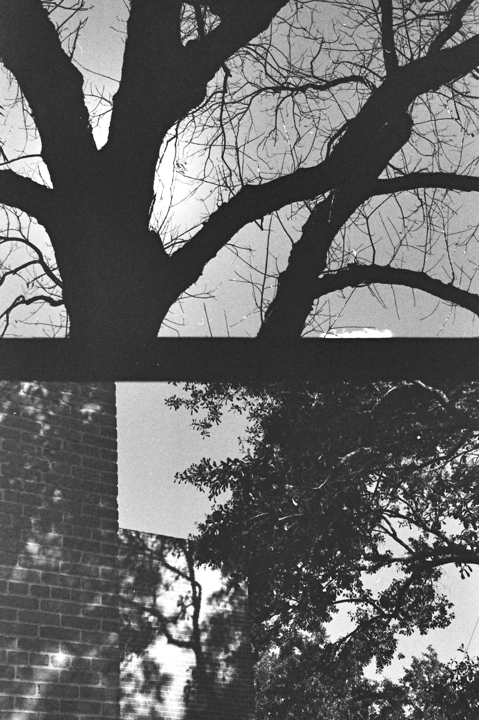 Sometime Ago, Somewhere in Texas — panel 1