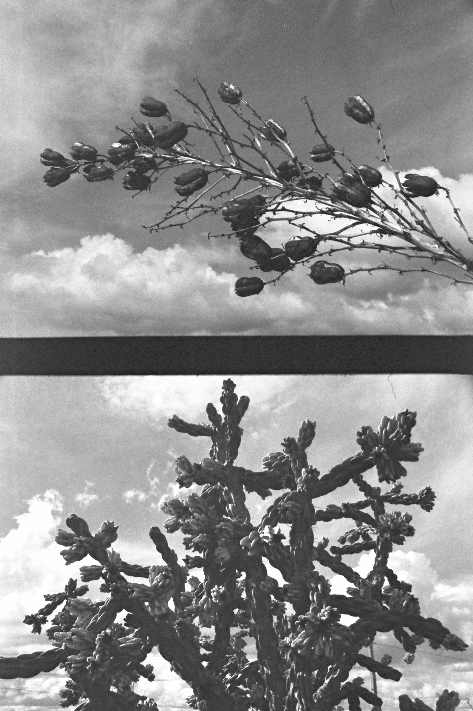 Sometime Ago, Somewhere in Texas — panel 2