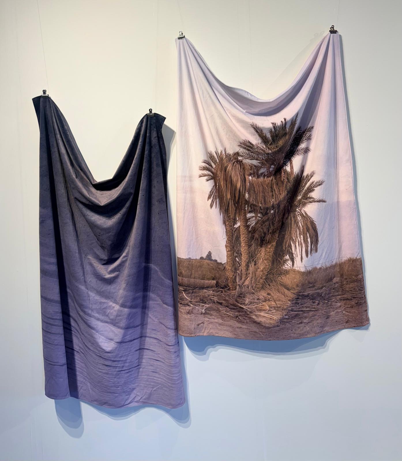 Where there is palm, there is water. — Latifa AlBokhari